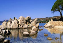 九游：亚冬会 ｜ 中国冰壶队取得“开门红”2025-02-05.